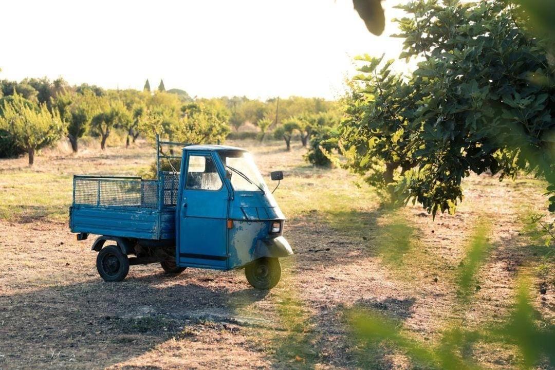 Casa In Campagna ⋅ Forimia Villa San Vito dei Normanni Kültér fotó